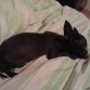 Mi bb durmiendo!!!!